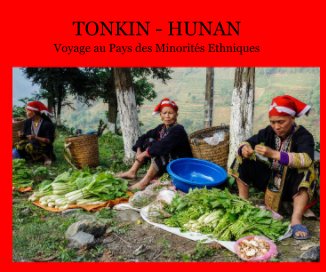TONKIN - HUNAN book cover