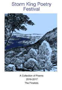1st Annual Storm King Poetry Festival book cover