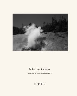 In Search of Shabooms  Montana/ Wyoming summer 2016 book cover