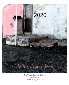 2020: The Songs We Leave Behind book cover