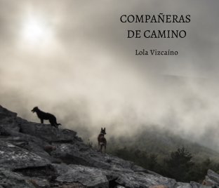 COMPAÑERAS DE CAMINO book cover