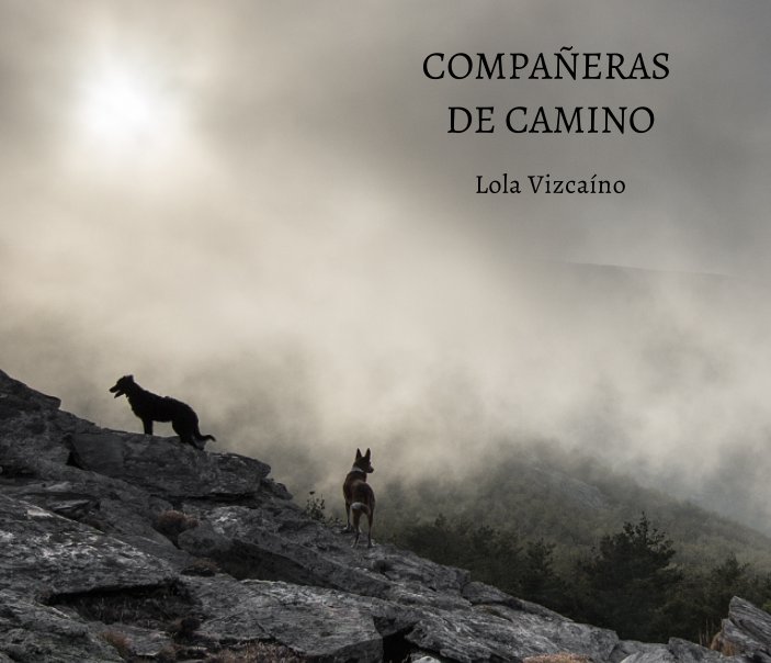 View COMPAÑERAS DE CAMINO by Lola Vizcaíno