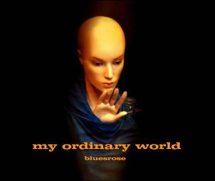 my ordinary world book cover