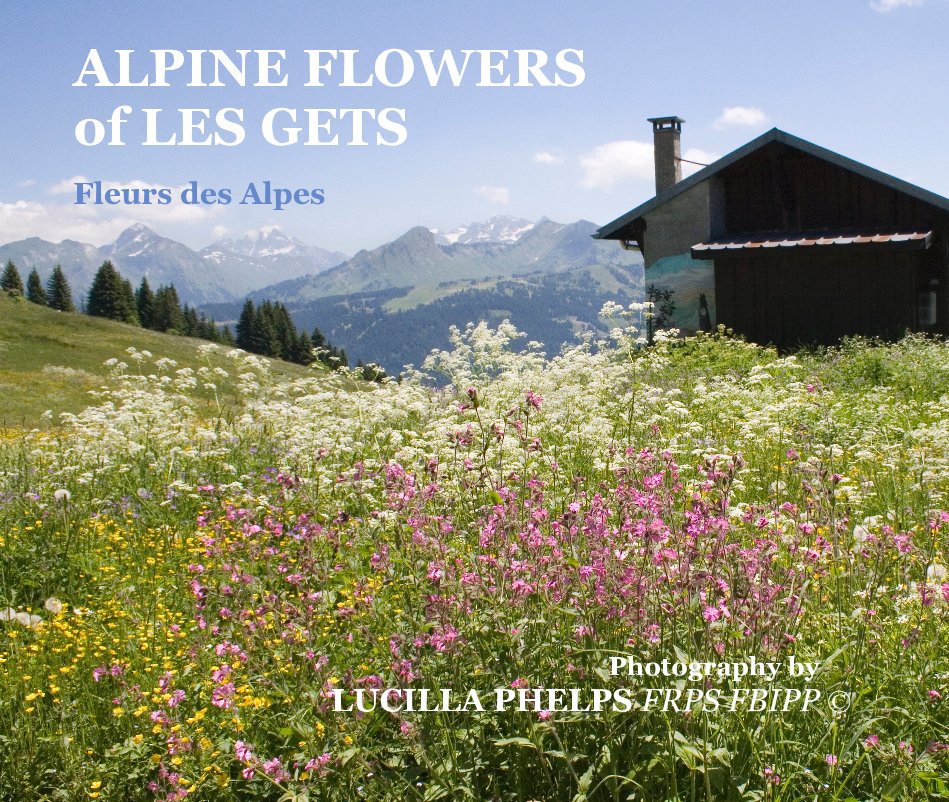 View ALPINE FLOWERS of LES GETS Fleurs des Alpes by Photography by LUCILLA PHELPS FRPS FBIPP Â©