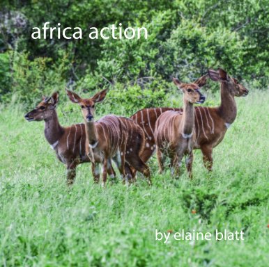 africa action book cover