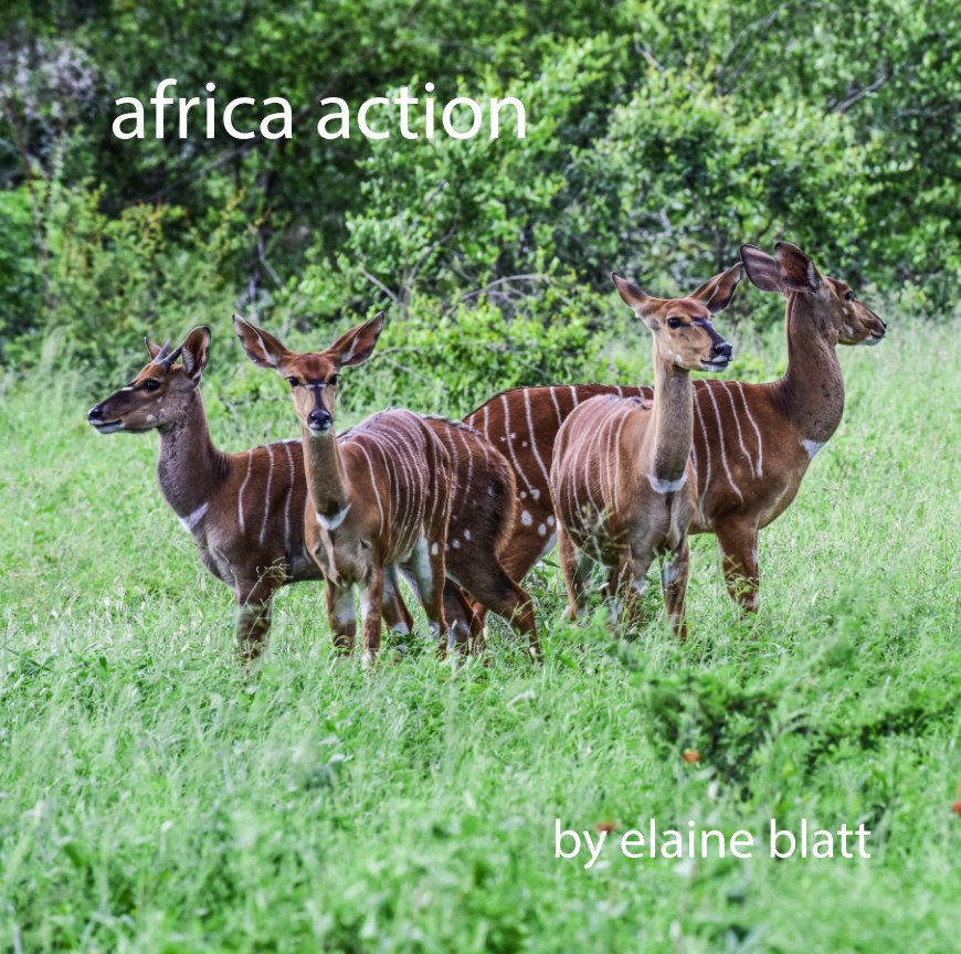 Ver africa action por elaine blatt