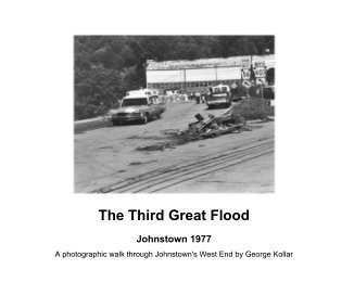 The Third Great Flood book cover