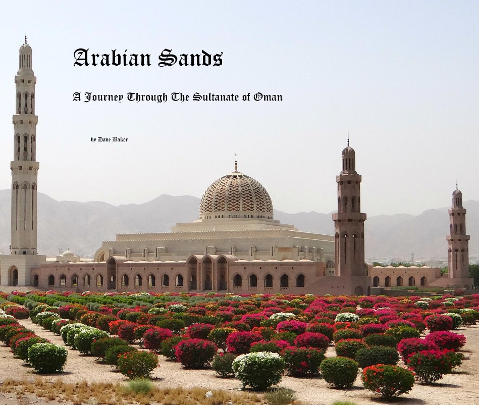 View Arabian Sands by Dave Baker
