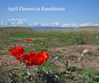 April Flowers in Kazakhstan book cover