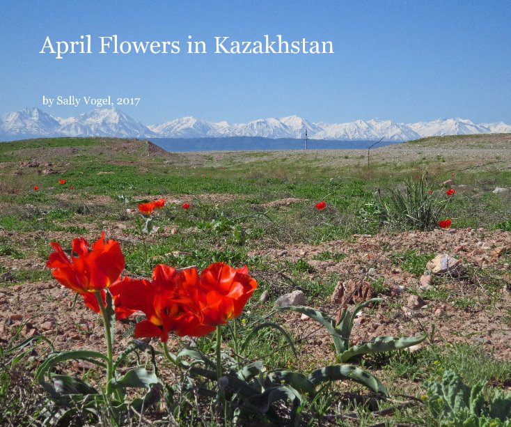 View April Flowers in Kazakhstan by Sally Vogel, 2017