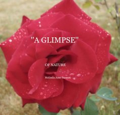 ''A GLIMPSE'' book cover