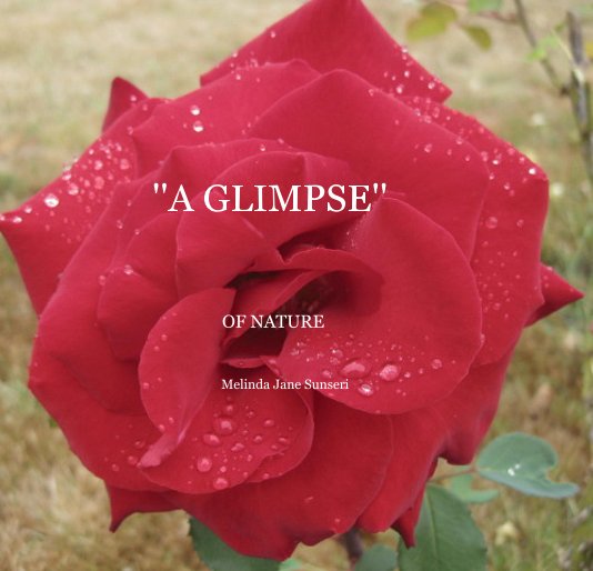 View ''A GLIMPSE'' by Melinda Jane Sunseri