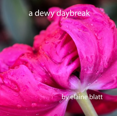 a dewy daybreak book cover