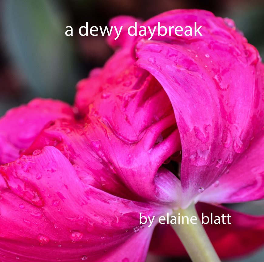 View a dewy daybreak by elaine blatt