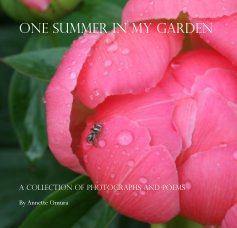 One Summer in my Garden book cover
