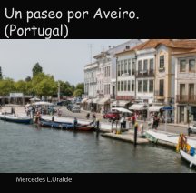 Un paseo Por Aveiro (Portugal) book cover