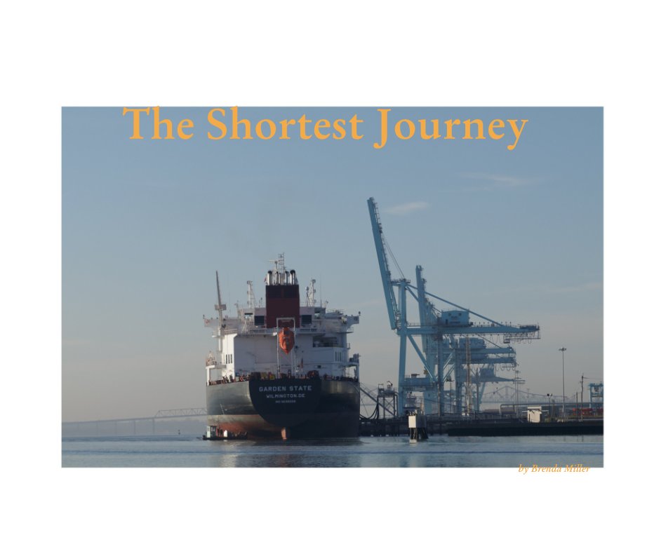 Ver The Shortest Journey por Brenda Miller