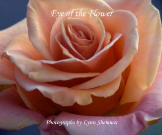 Eye of the Flower book cover