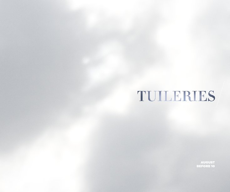 View Tuileries by Adrien Dewisme