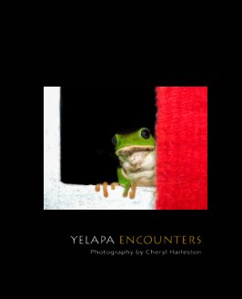 Yelapa Encounters book cover