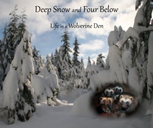 Deep Snow and Four Below book cover
