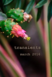 Transients March 2016 book cover