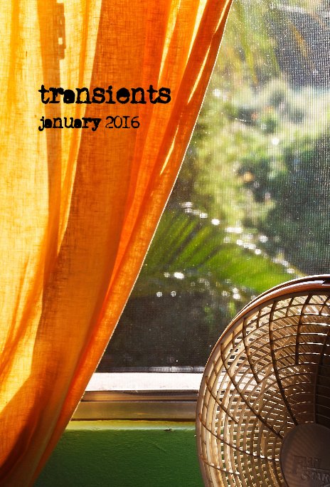 View transients january 2016 by Lynnette Peizer
