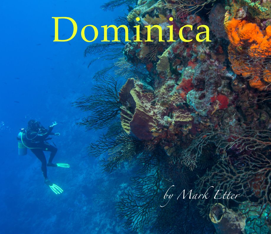 View Dominica 2017 by Mark Etter
