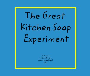 The Great Kitchen Soap Experiment book cover