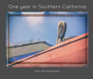 One year in Southern California book cover
