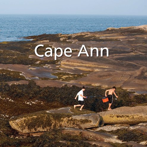 View Cape Ann by Christine Lalonde
