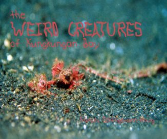 The weird creatures of Kungkungan Bay book cover
