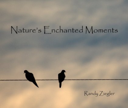 Nature's Enchanted Moments book cover