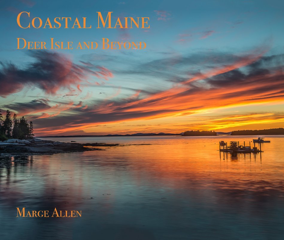 View Coastal Maine by Marge Allen