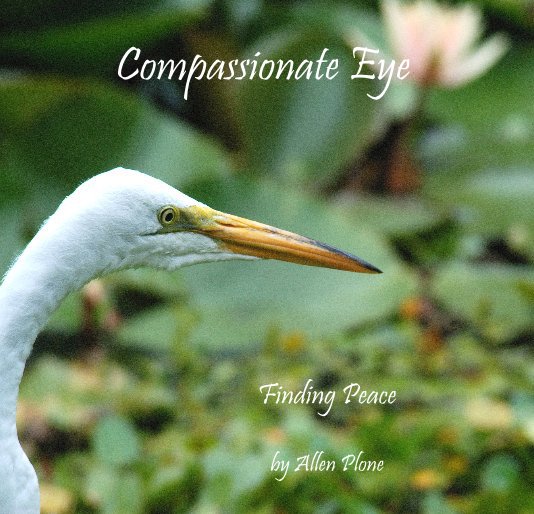 View Compassionate Eye by Allen Plone