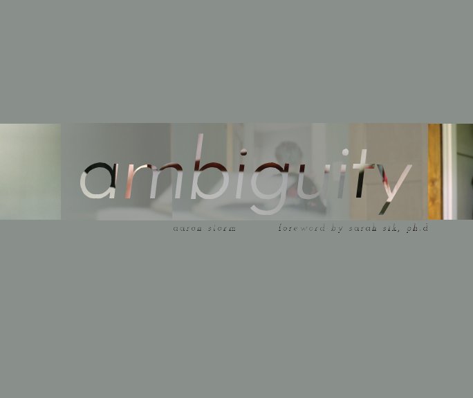 View ambiguity by Aaron Storm, Sarah Sik