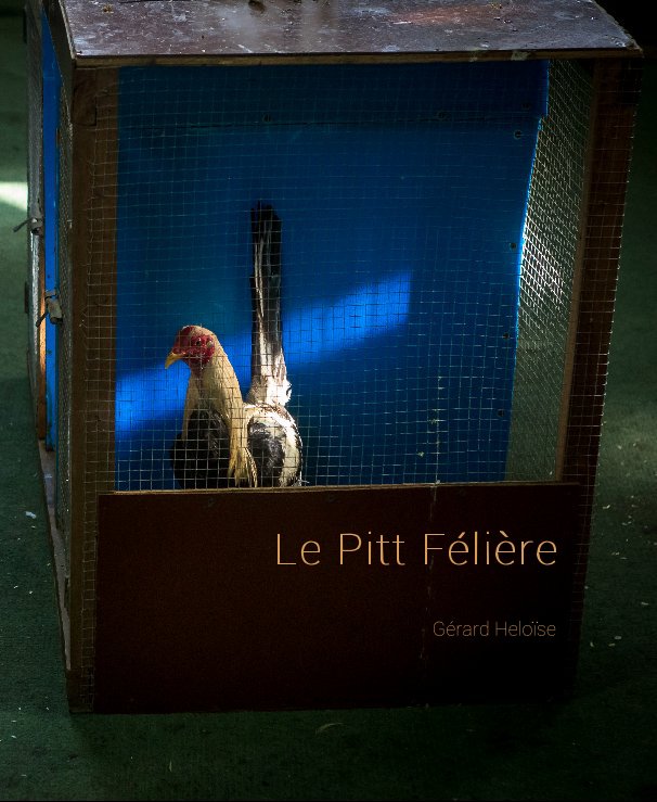 View Le Pitt Félière by Gérard Heloïse