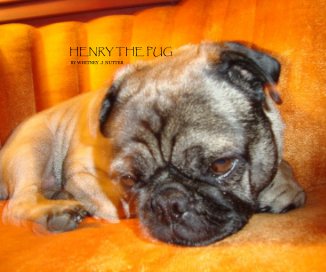 HENRY THE PUG book cover