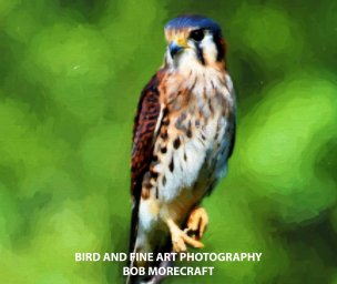 BIRD AND FINE ART PHOTOGRAPHY book cover