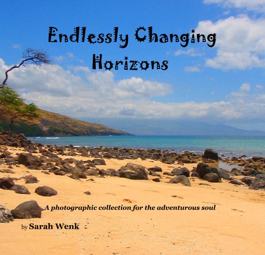 View Endlessly Changing Horizons by Sarah Wenk