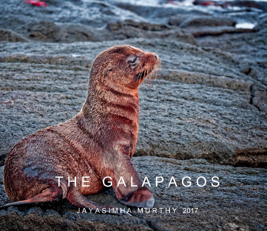 View The Galapagos by Jayasimha Murthy