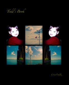 Todd's Book book cover