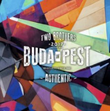 TWO BROTHERS IN BUDAPEST book cover