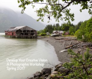 Develop Your Creative Vision book cover