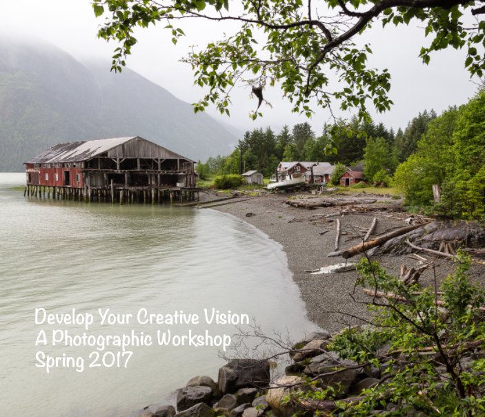 Ver Develop Your Creative Vision por Dennis Ducklow
