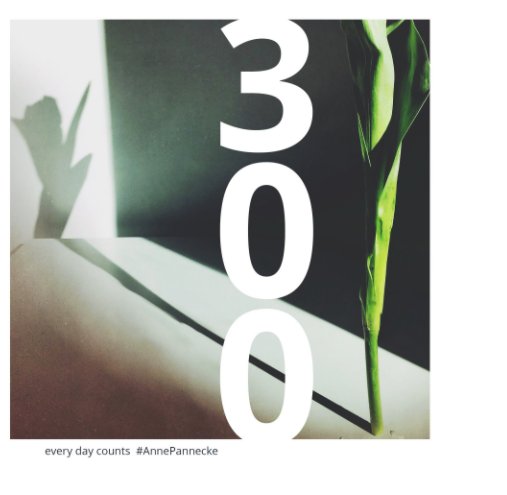 View 300 by Anne Pannecke