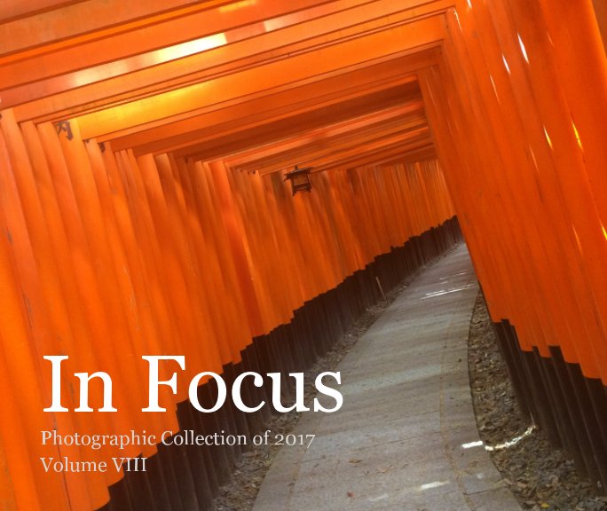 View In Focus by Lynne Weinert, Marika Tamura