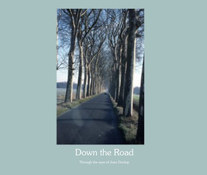 Down the Road book cover