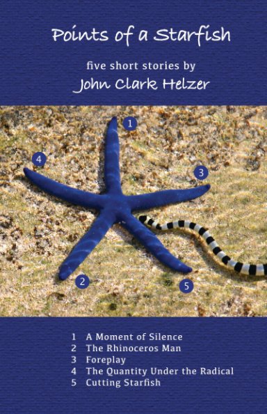 View Points of a Starfish by John Clark Helzer
