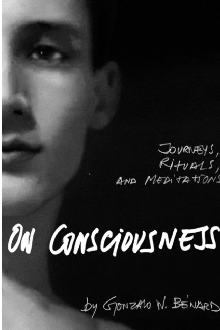 View On Consciousness by Gonzalo W. Benard